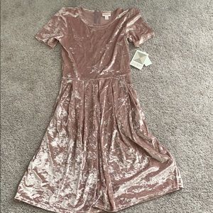 Amelia Velvet Dress